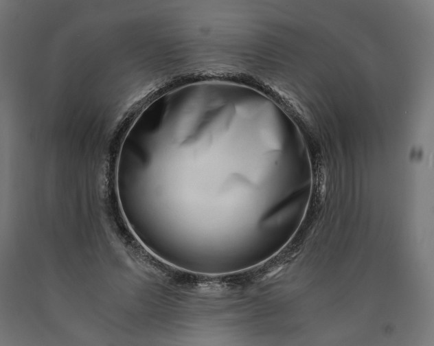 X0000090720591200708031502