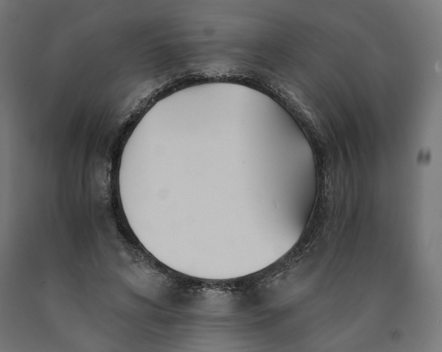 X0000090720592200708031502