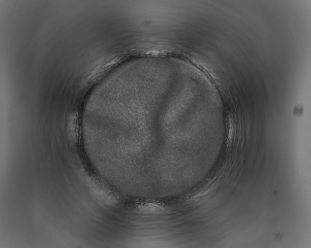 X0000090720594200708031502