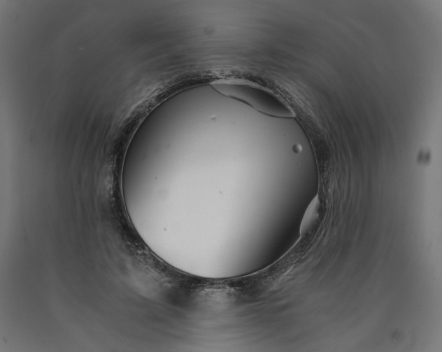 X0000090720595200708031502