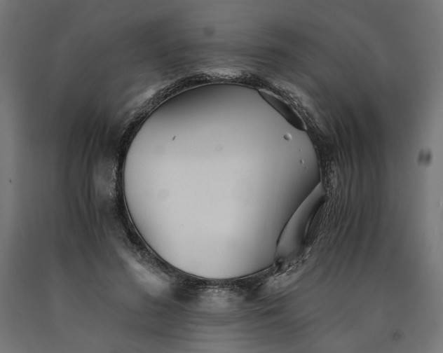 X0000090720596200708031502