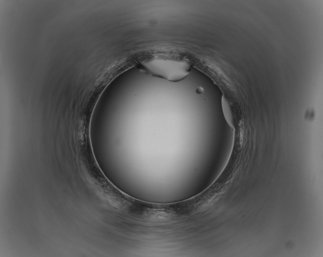 X0000090720597200708031502