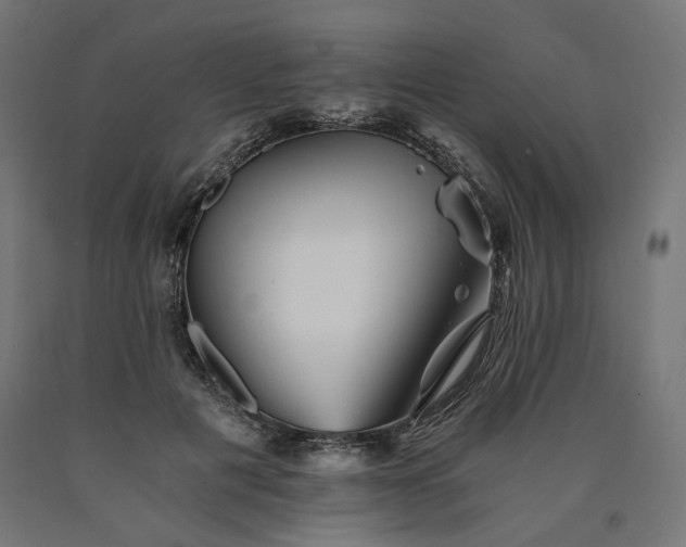 X0000090720601200708031502