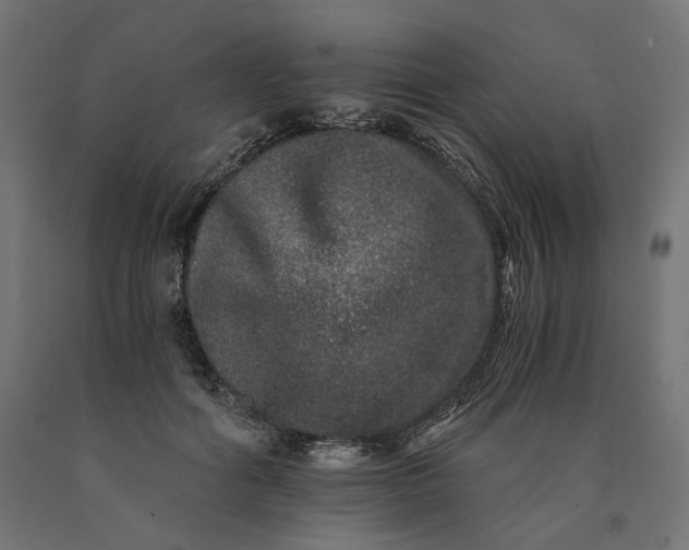 X0000090720602200708031502