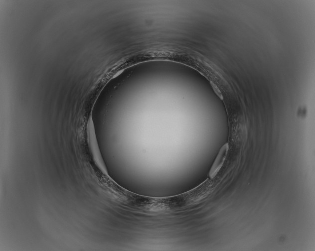 X0000090720604200708031502