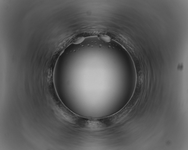 X0000090720605200708031502