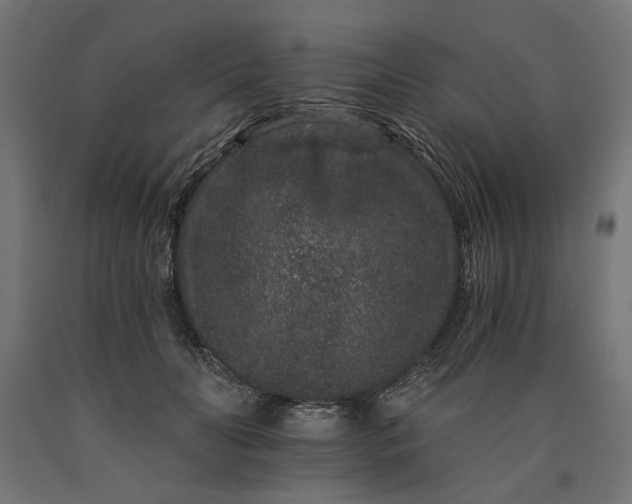 X0000090720606200708031502