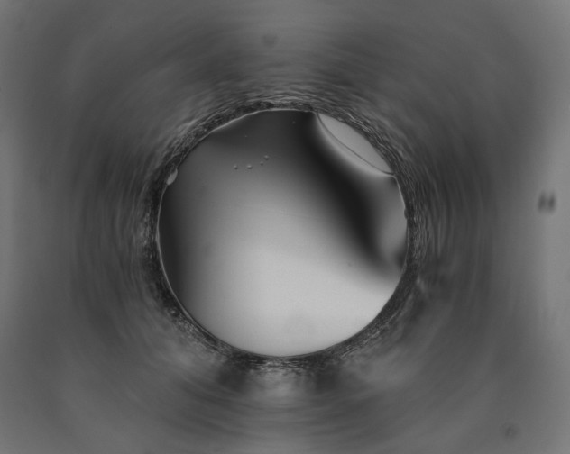 X0000090720608200708031502