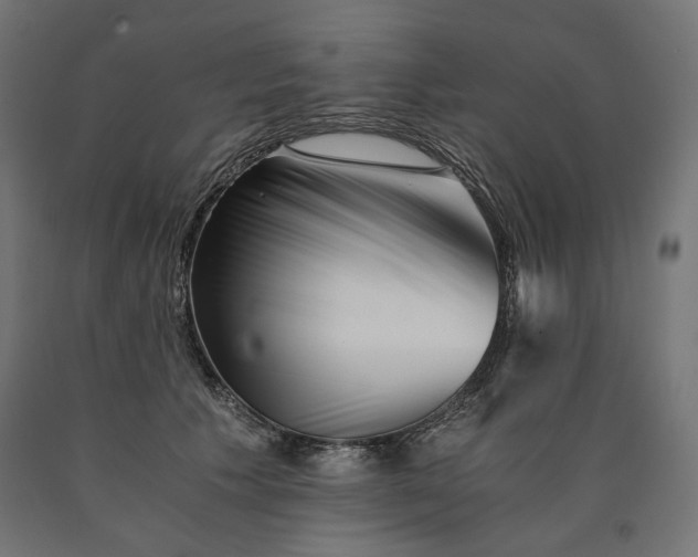 X0000090720609200708031502
