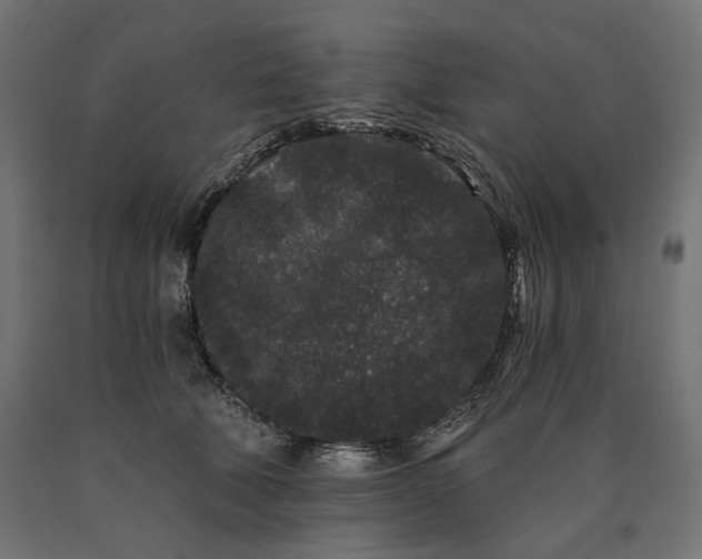 X0000090720610200708031502