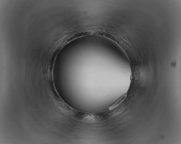 X0000090720611200708031502