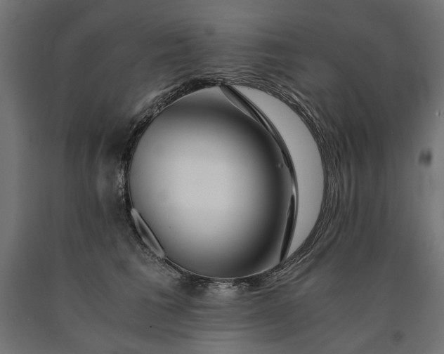 X0000090720613200708031502