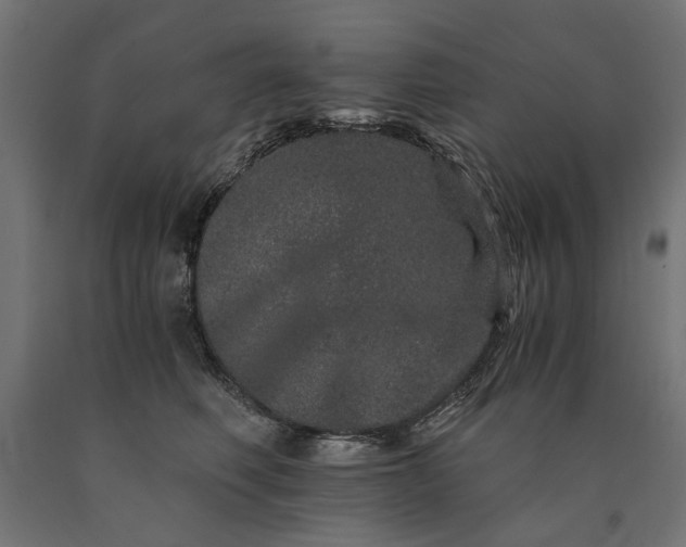 X0000090720614200708031502