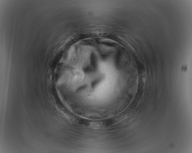 X0000090720615200708031502