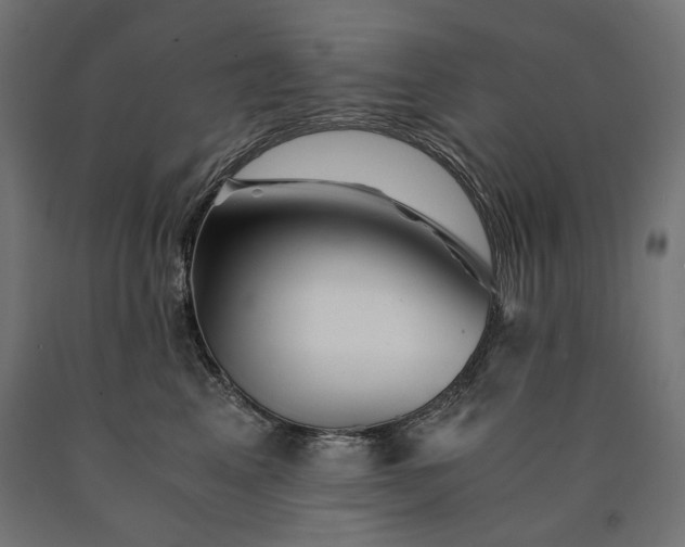 X0000090720617200708031502
