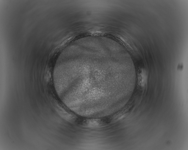 X0000090720618200708031502