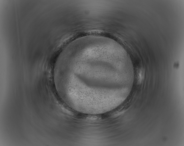 X0000090720619200708031502