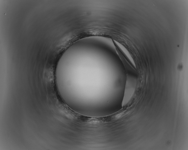 X0000090720620200708031502