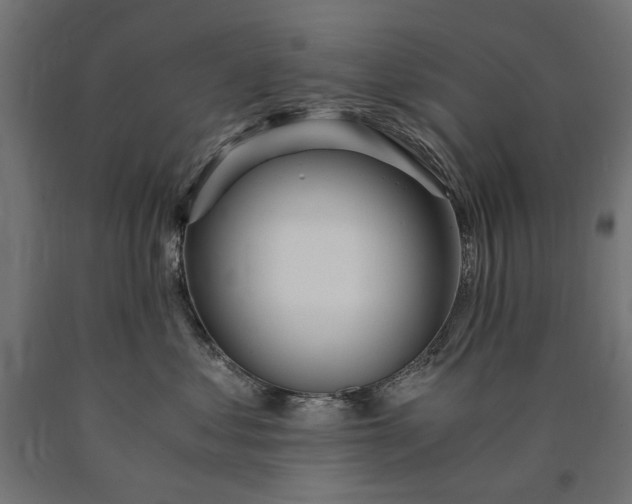 X0000090720621200708031502