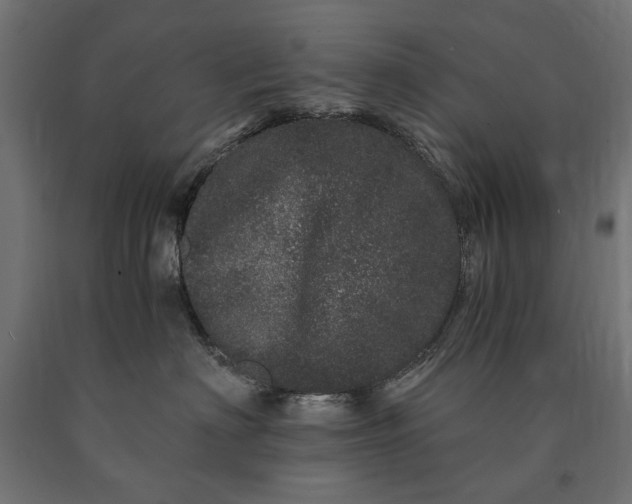 X0000090720622200708031502