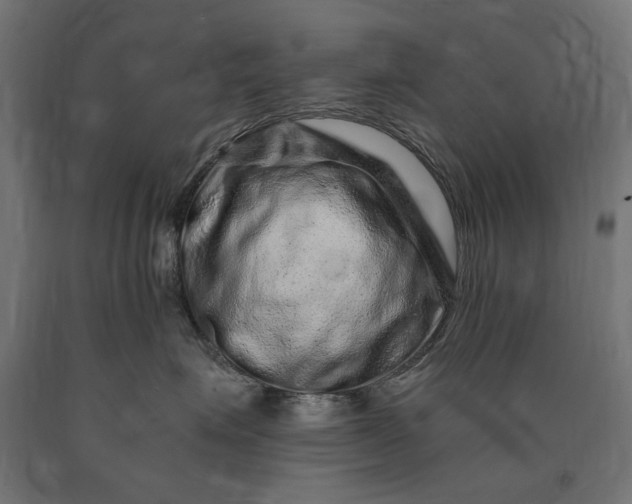 X0000090720623200708031502
