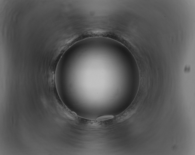 X0000090720624200708031502