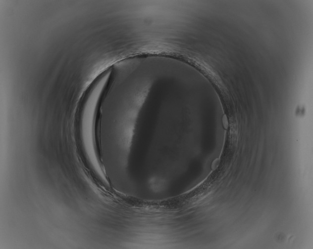 X0000090720626200708031501