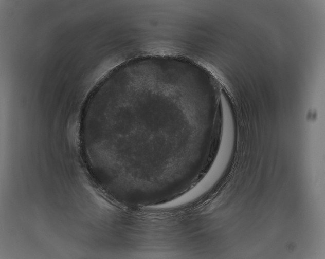 X0000090720627200708031501