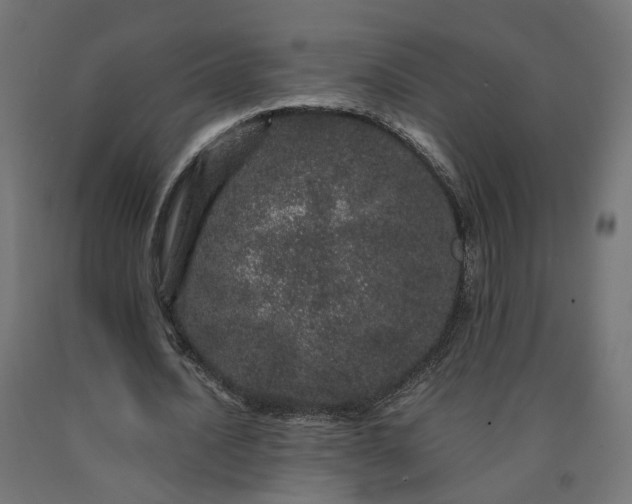 X0000090720628200708031501