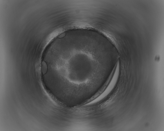 X0000090720630200708031501