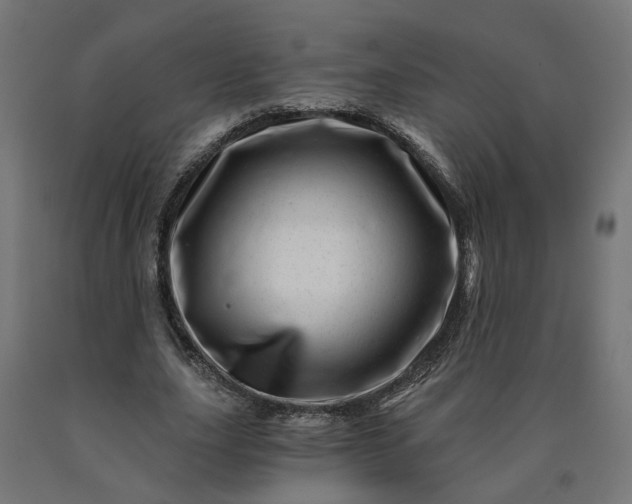 X0000090720631200708031501