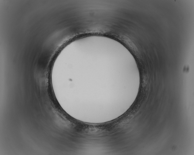 X0000090720632200708031501
