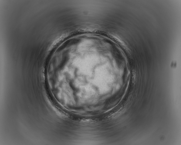 X0000090720634200708031501