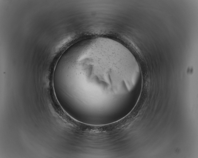 X0000090720635200708031501