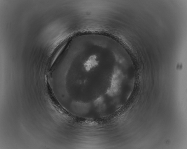 X0000090720640200708031501