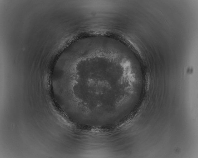 X0000090720641200708031501