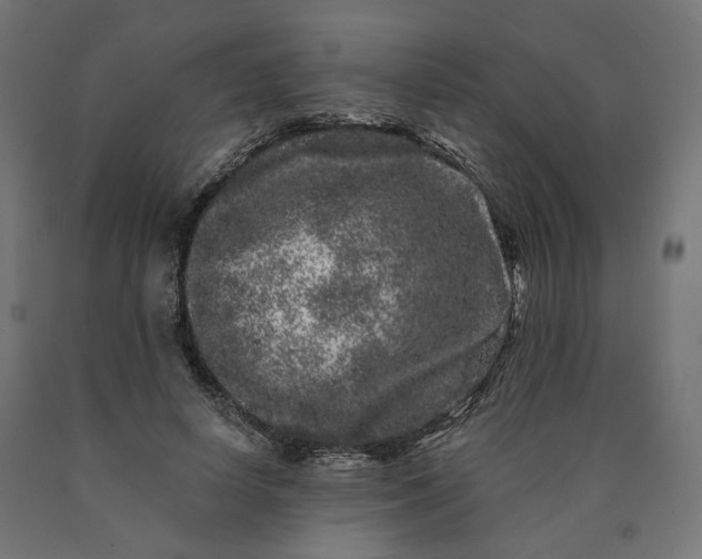 X0000090720642200708031501