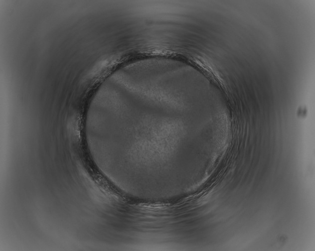 X0000090720643200708031501