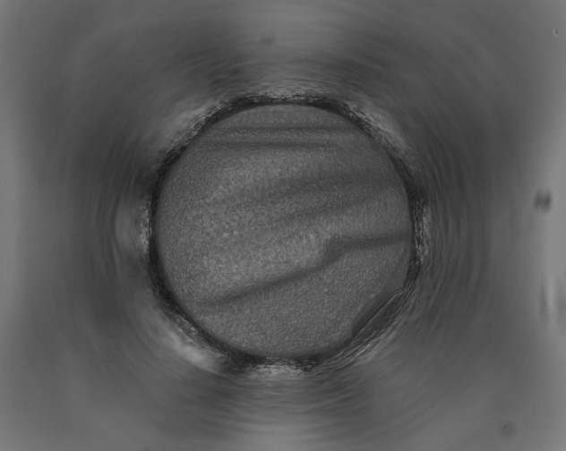 X0000090720644200708031501