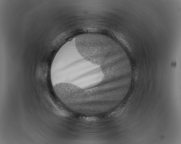 X0000090720645200708031501