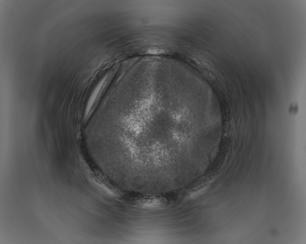 X0000090720646200708031501
