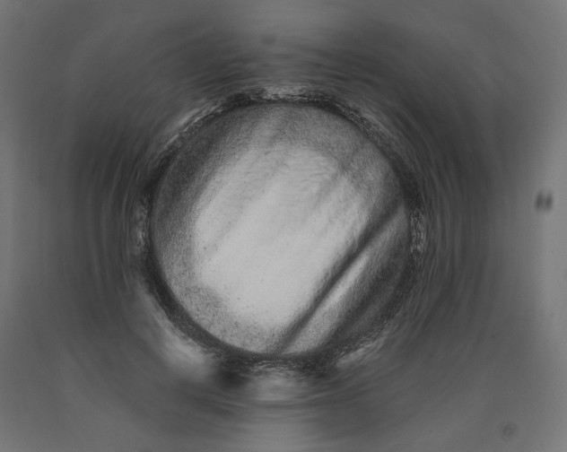 X0000090720648200708031501
