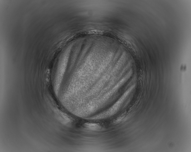 X0000090720649200708031501
