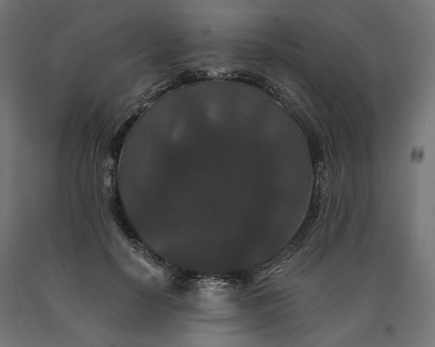 X0000090720650200708031501