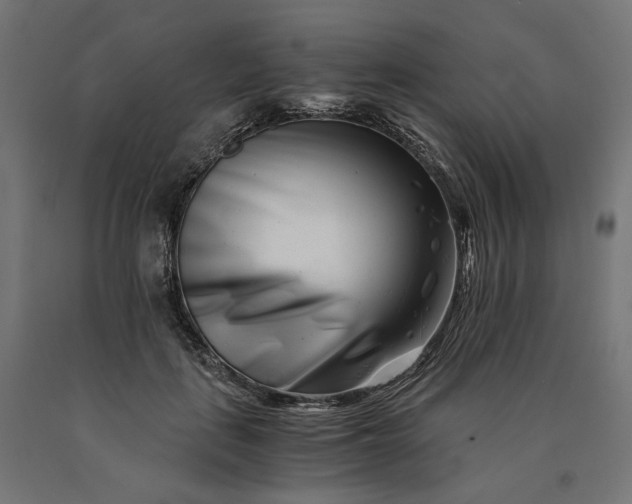 X0000090720651200708031501