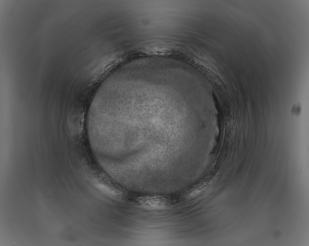 X0000090720652200708031502