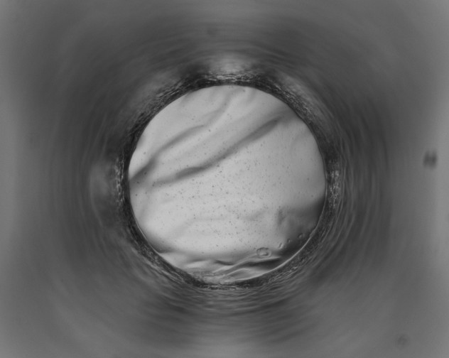 X0000090720653200708031502