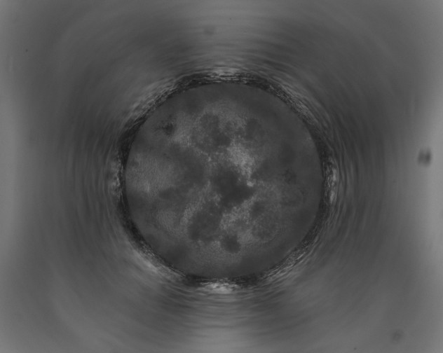 X0000090720654200708031502