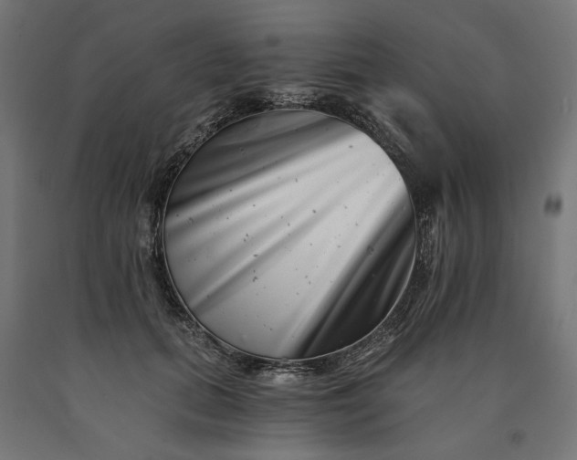 X0000090720655200708031502