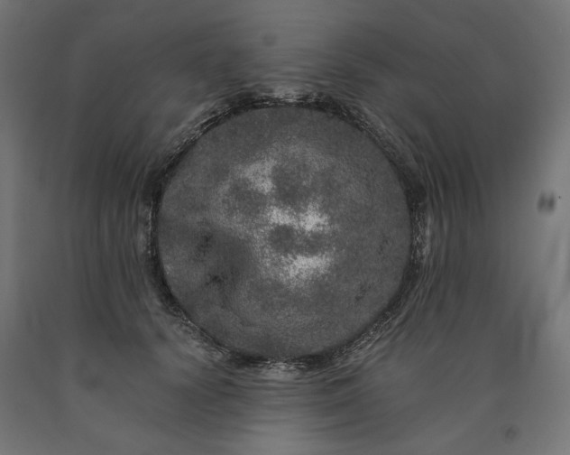 X0000090720656200708031502